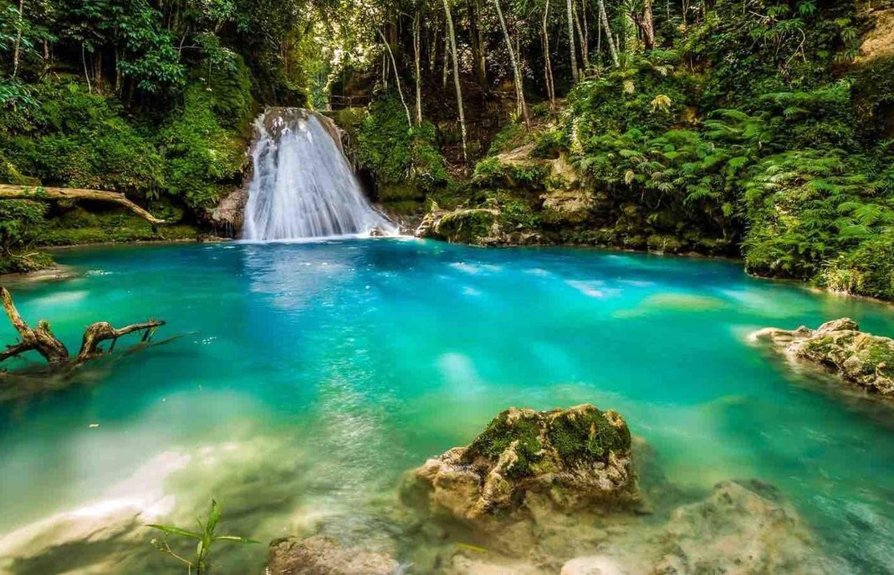 The Roseville Ocho Rios Luaran gambar